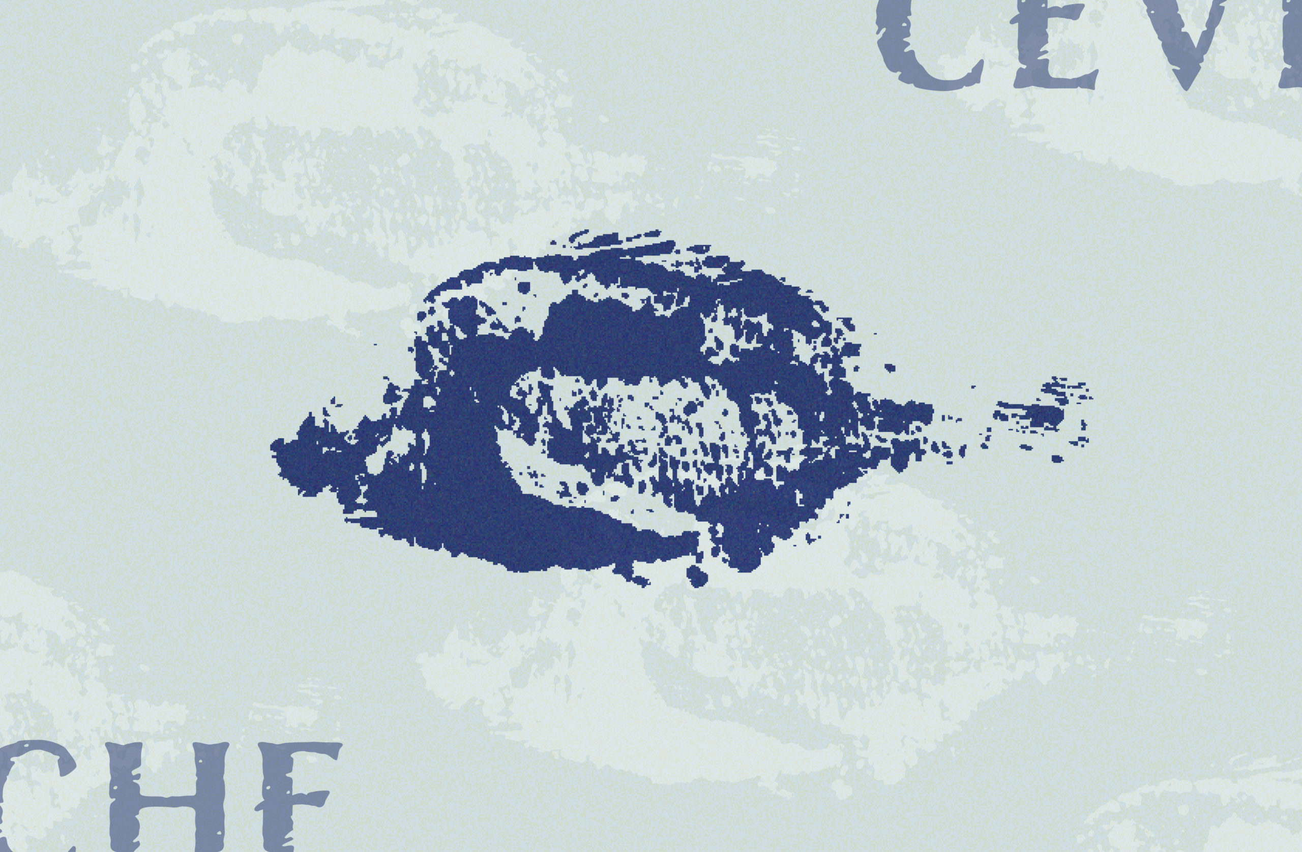 Cevicheria Illary restaurant logo design8